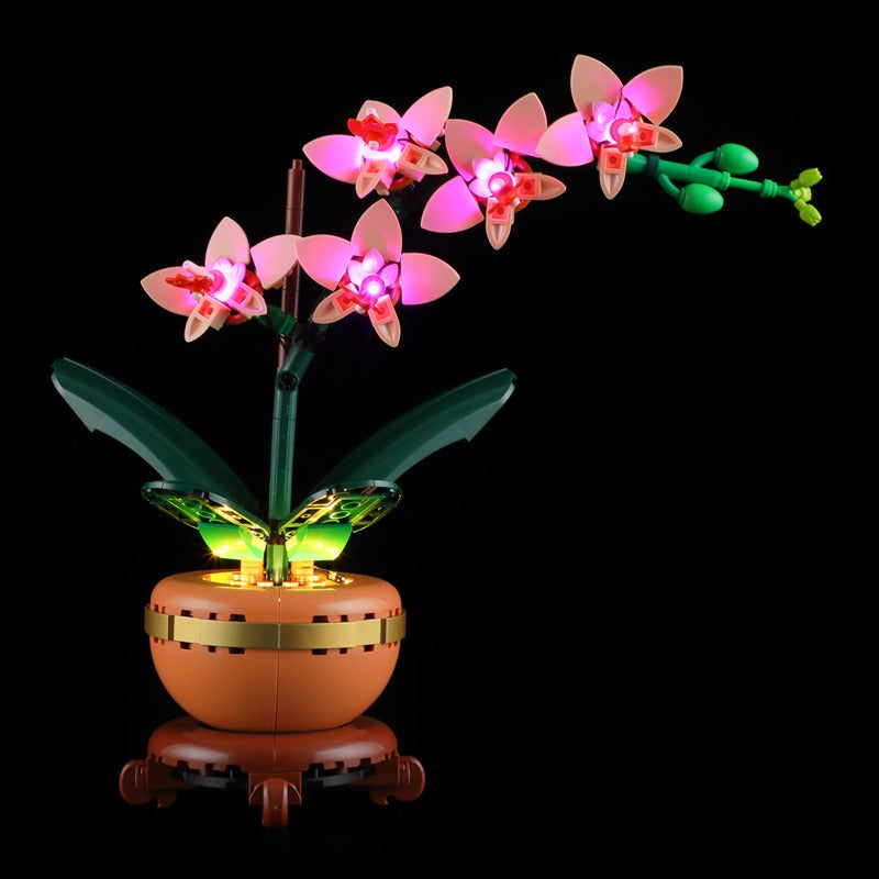 Mini orchid building block set assembled display