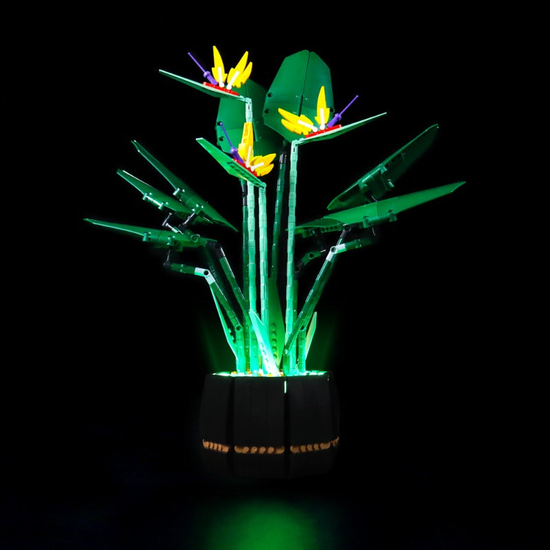 Close-up of LED lighting kit for flower building set