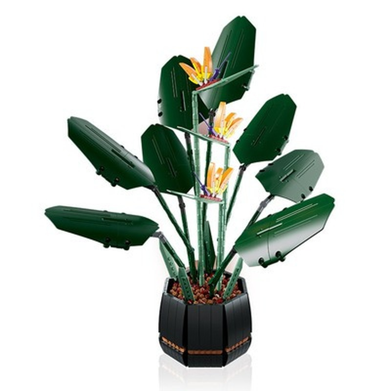 Bird of paradise building block plant on display shelf