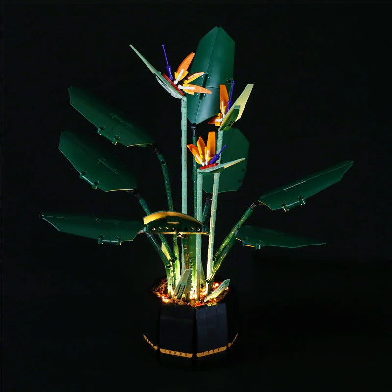 Bird of paradise build with LED lighting kit lit up