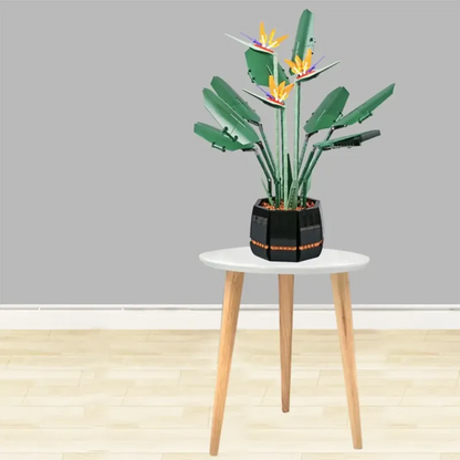 Bird of paradise building block flower bloom detail